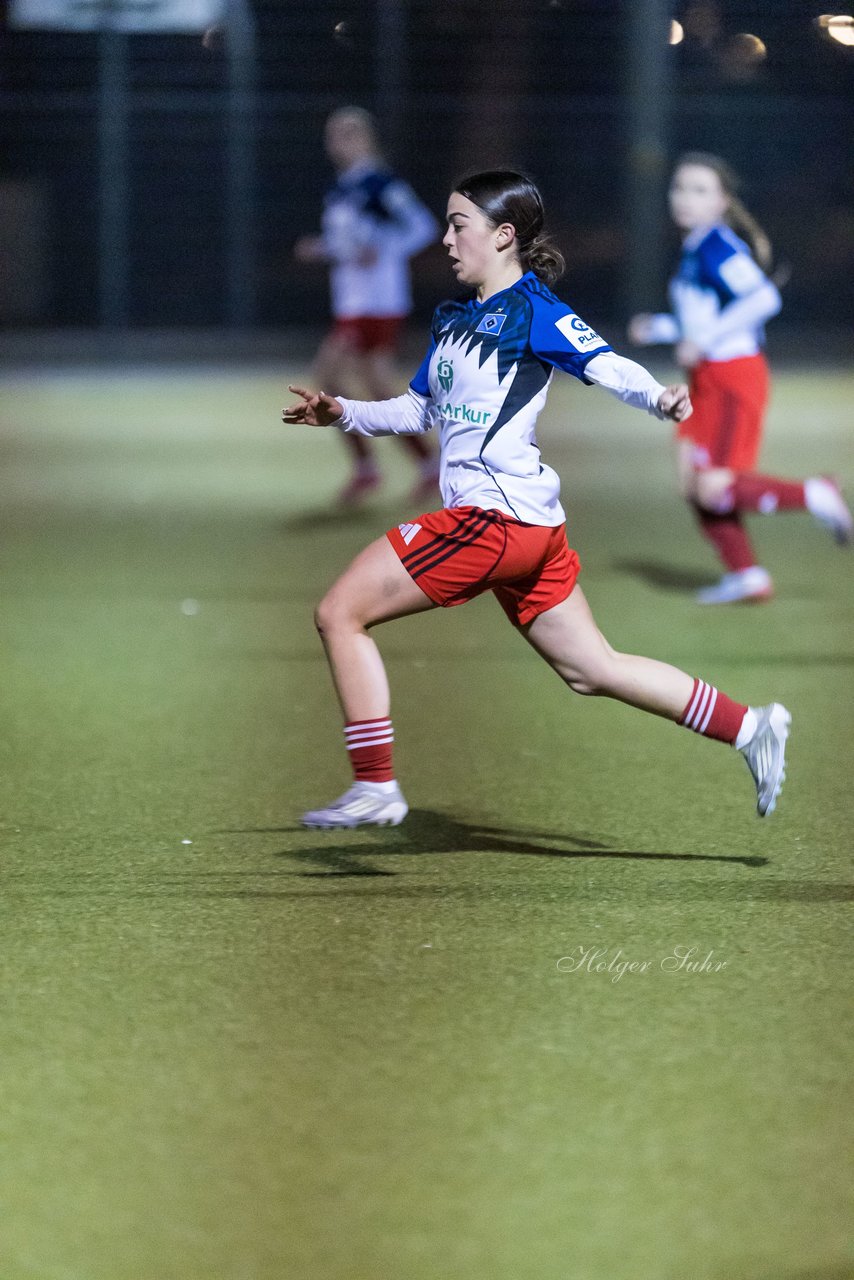 Bild 423 - F SC Alstertal-Langenhorn - Hamburger SV 3 : Ergebnis: 2:2